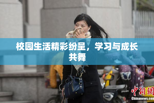 校园生活精彩纷呈，学习与成长共舞