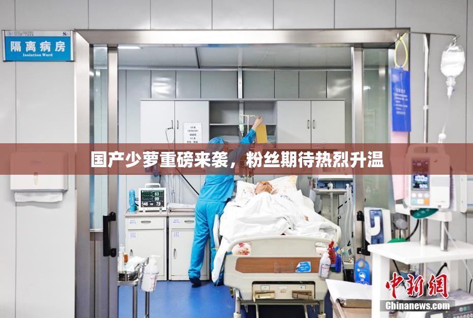 国产少萝重磅来袭，粉丝期待热烈升温