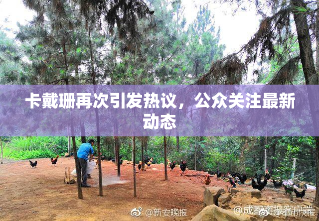 卡戴珊再次引发热议，公众关注最新动态