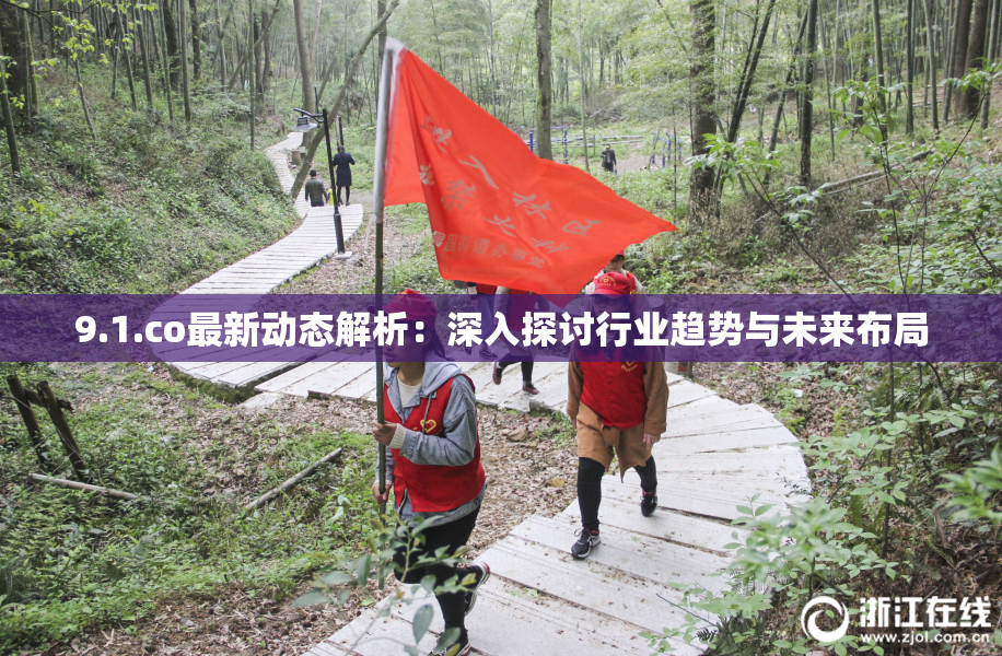 9.1.co最新动态解析：深入探讨行业趋势与未来布局