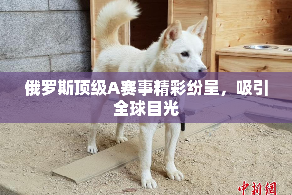 俄罗斯顶级A赛事精彩纷呈，吸引全球目光