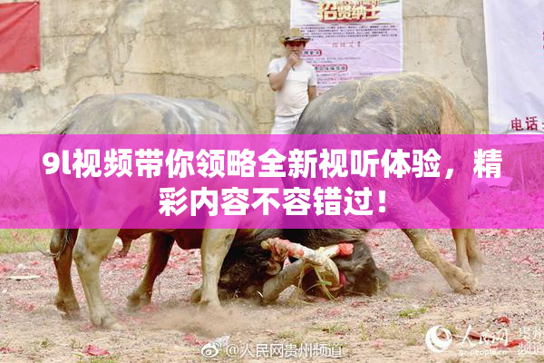 9l视频带你领略全新视听体验，精彩内容不容错过！