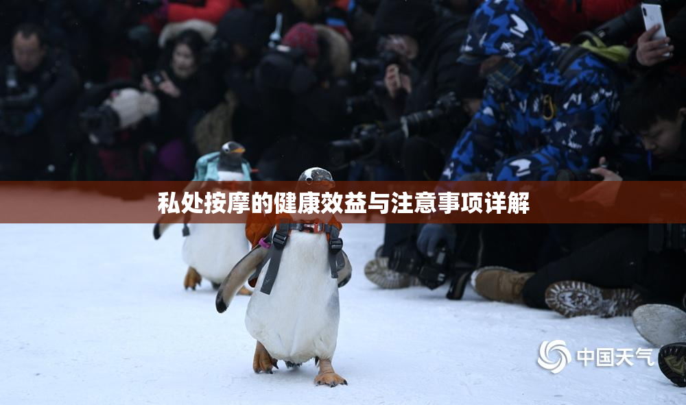私处按摩的健康效益与注意事项详解
