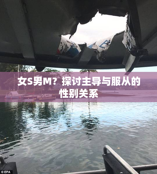 女S男M？探讨主导与服从的性别关系