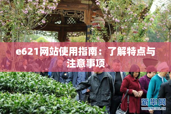 e621网站使用指南：了解特点与注意事项