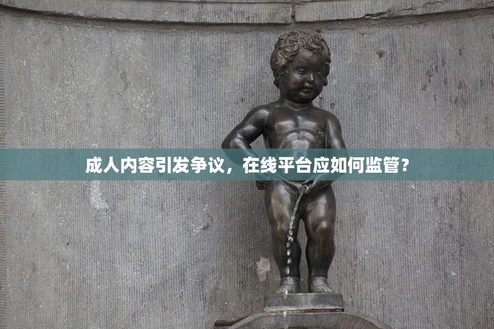 成人内容引发争议，在线平台应如何监管？