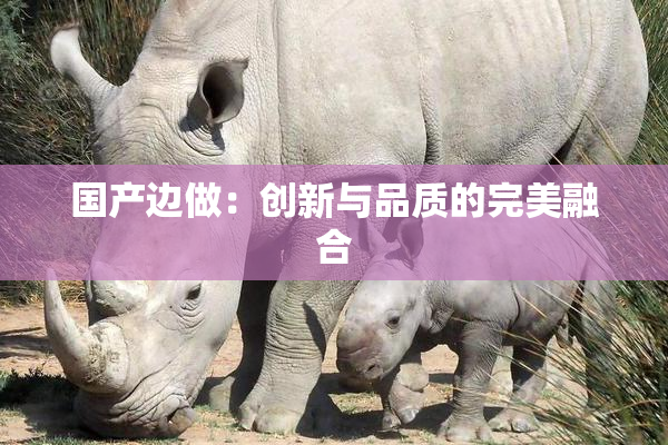 国产边做：创新与品质的完美融合