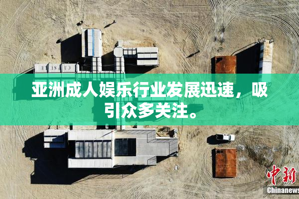亚洲成人娱乐行业发展迅速，吸引众多关注。