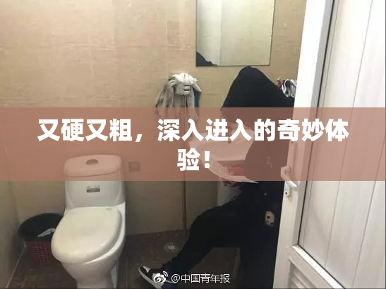又硬又粗，深入进入的奇妙体验！