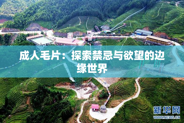 成人毛片：探索禁忌与欲望的边缘世界