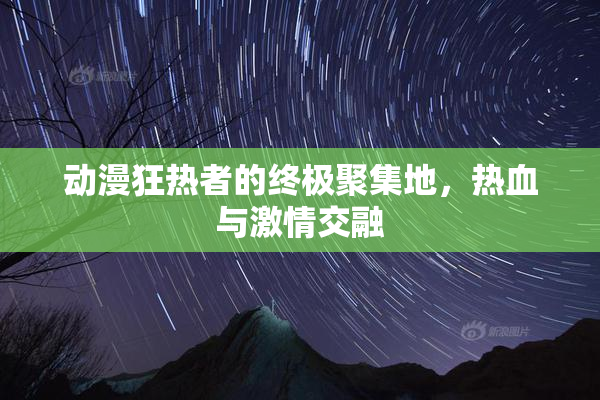 动漫狂热者的终极聚集地，热血与激情交融