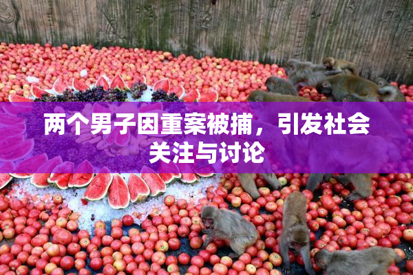 两个男子因重案被捕，引发社会关注与讨论