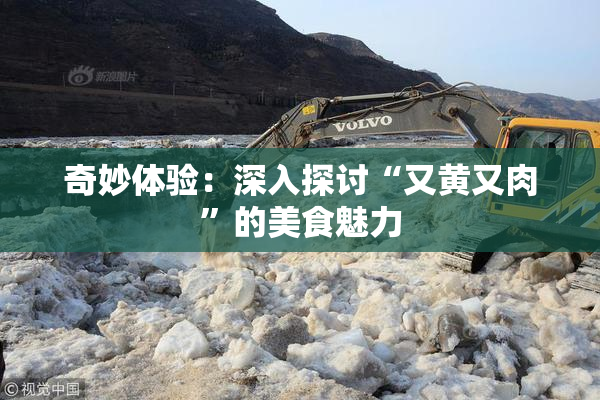 奇妙体验：深入探讨“又黄又肉”的美食魅力
