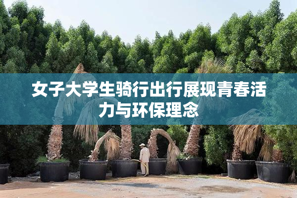 女子大学生骑行出行展现青春活力与环保理念
