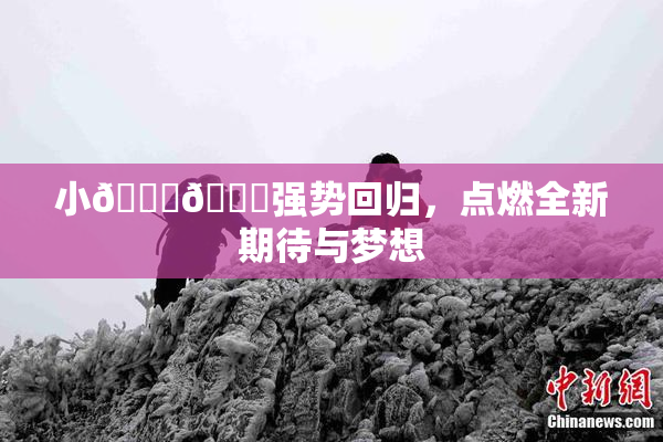 小🐔🐔强势回归，点燃全新期待与梦想