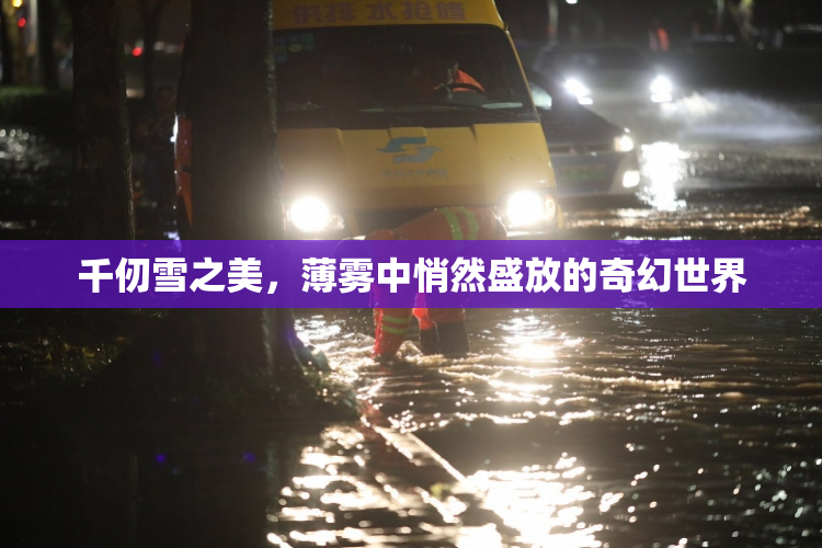 千仞雪之美，薄雾中悄然盛放的奇幻世界