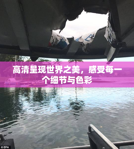 高清呈现世界之美，感受每一个细节与色彩