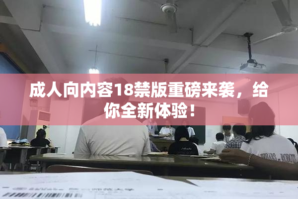 成人向内容18禁版重磅来袭，给你全新体验！