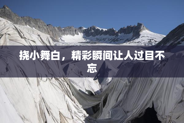 挠小舞白，精彩瞬间让人过目不忘
