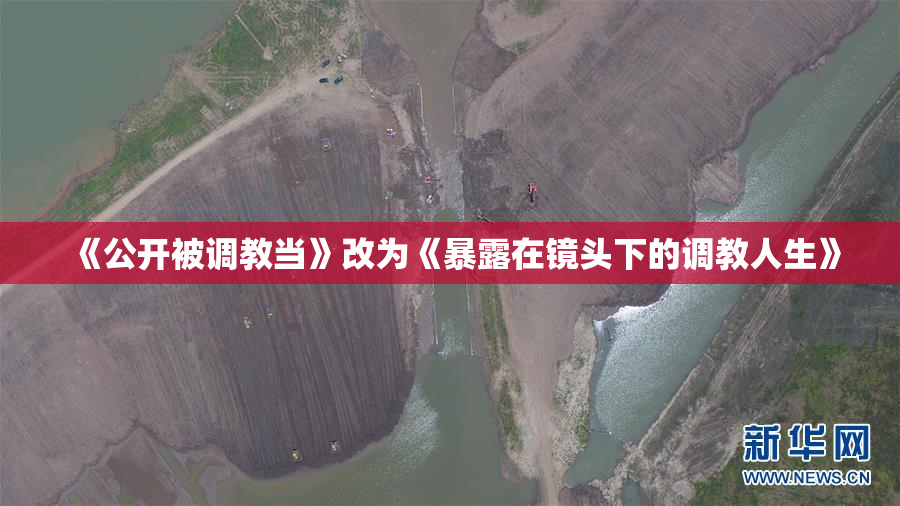 《公开被调教当》改为《暴露在镜头下的调教人生》