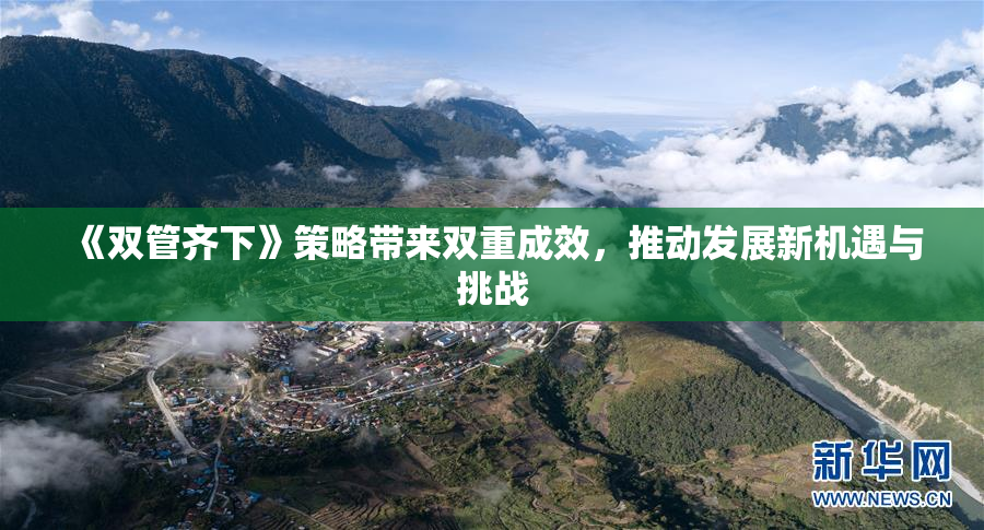 《双管齐下》策略带来双重成效，推动发展新机遇与挑战