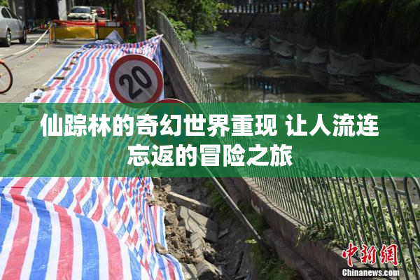 仙踪林的奇幻世界重现 让人流连忘返的冒险之旅