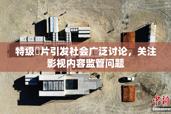 特级婬片引发社会广泛讨论，关注影视内容监管问题