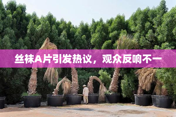 丝袜A片引发热议，观众反响不一