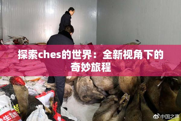 探索ches的世界：全新视角下的奇妙旅程
