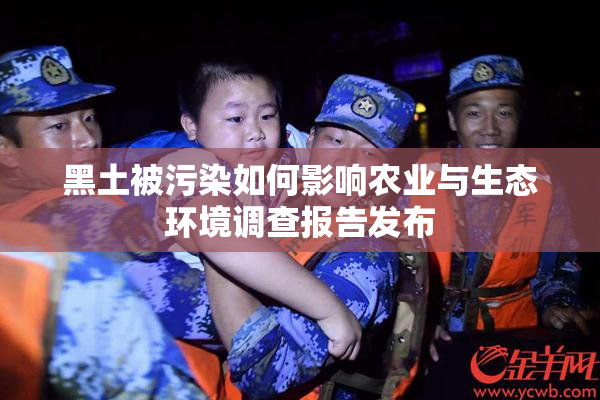 黑土被污染如何影响农业与生态环境调查报告发布