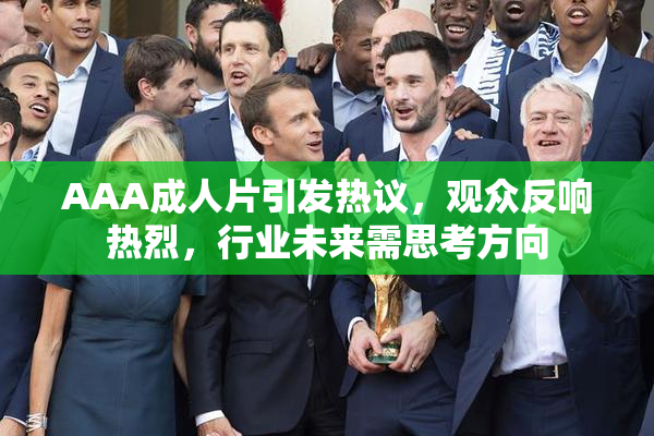 AAA成人片引发热议，观众反响热烈，行业未来需思考方向