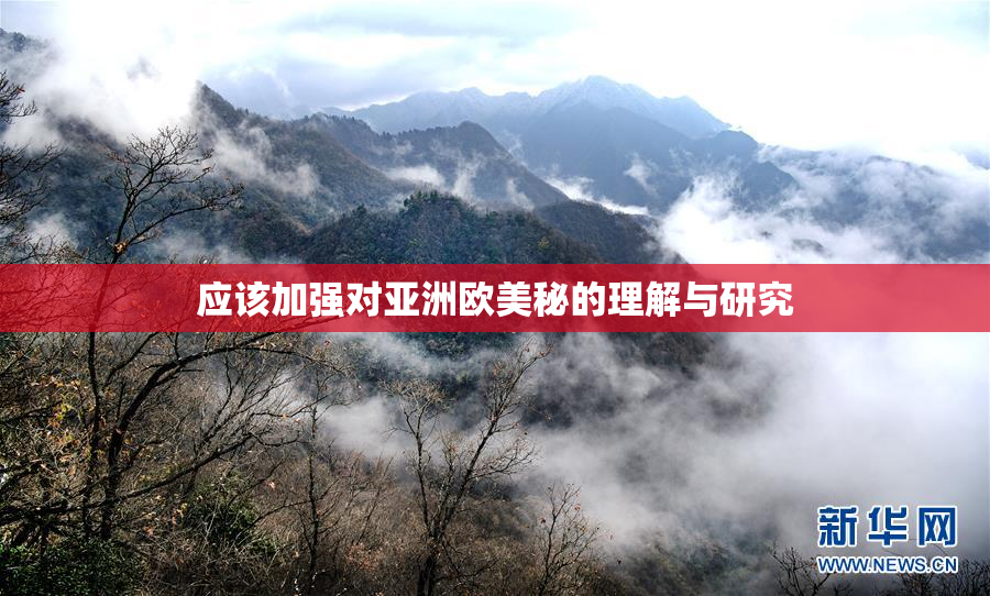 应该加强对亚洲欧美秘的理解与研究