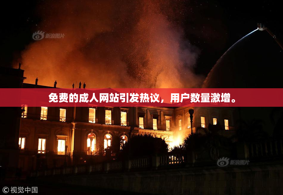 免费的成人网站引发热议，用户数量激增。