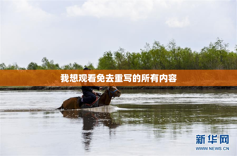 我想观看免去重写的所有内容