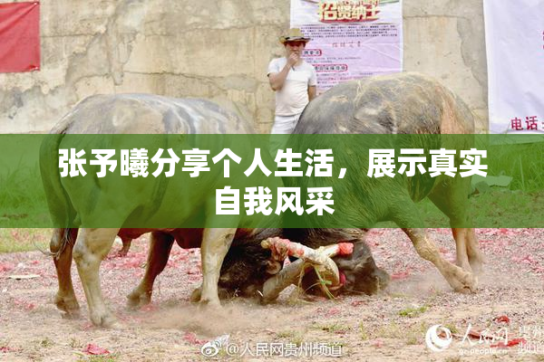 张予曦分享个人生活，展示真实自我风采
