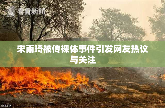 宋雨琦被传裸体事件引发网友热议与关注
