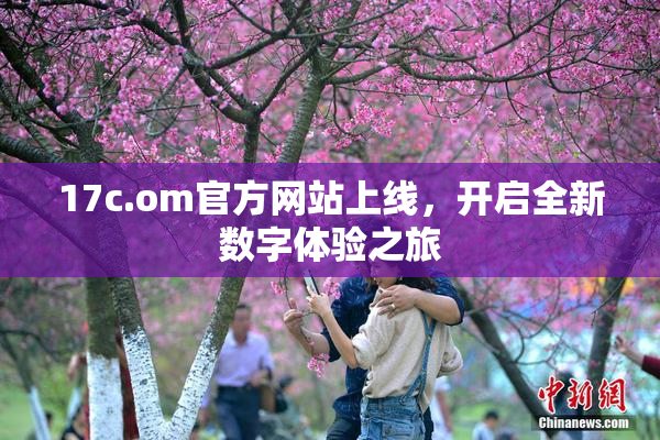 17c.om官方网站上线，开启全新数字体验之旅