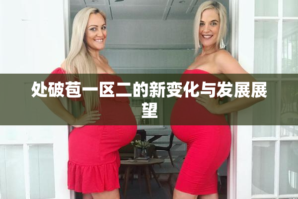 处破苞一区二的新变化与发展展望