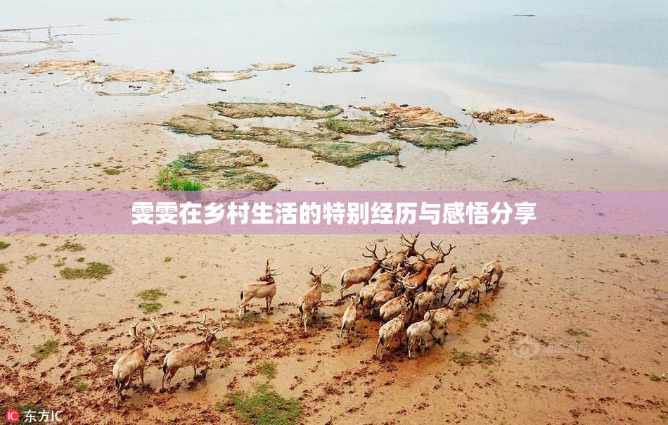 雯雯在乡村生活的特别经历与感悟分享