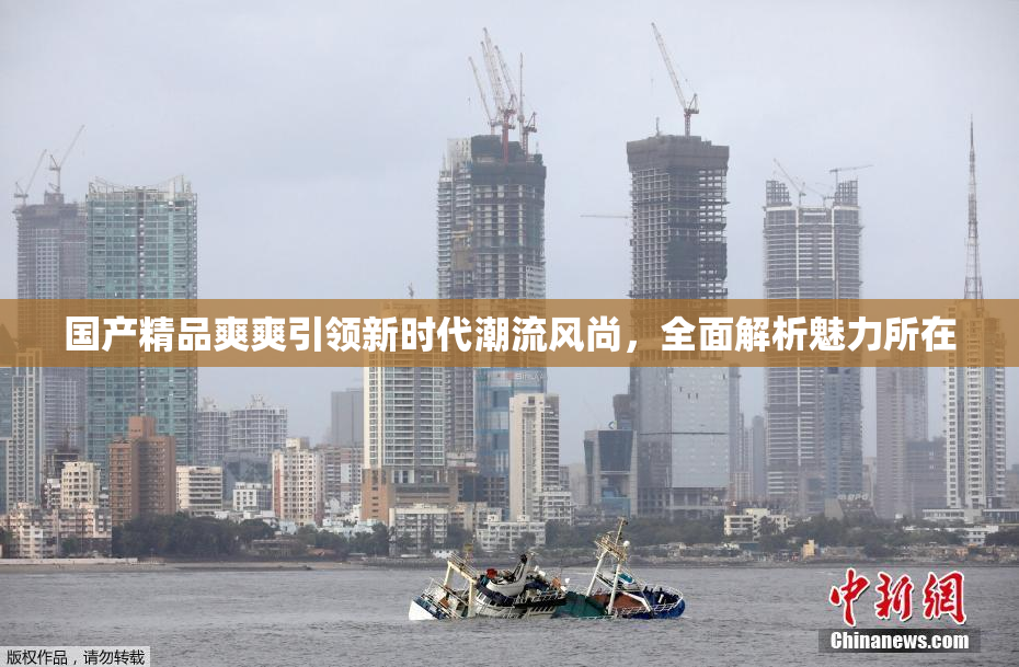 国产精品爽爽引领新时代潮流风尚，全面解析魅力所在