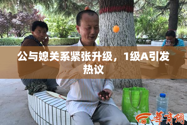 公与媳关系紧张升级，1级A引发热议