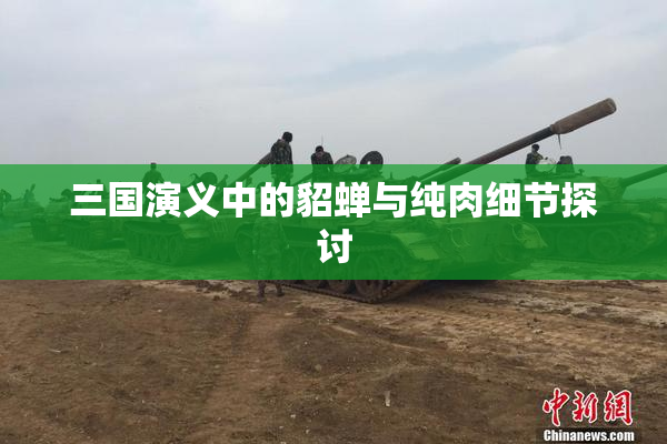 三国演义中的貂蝉与纯肉细节探讨