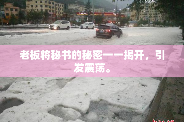 老板将秘书的秘密一一揭开，引发震荡。
