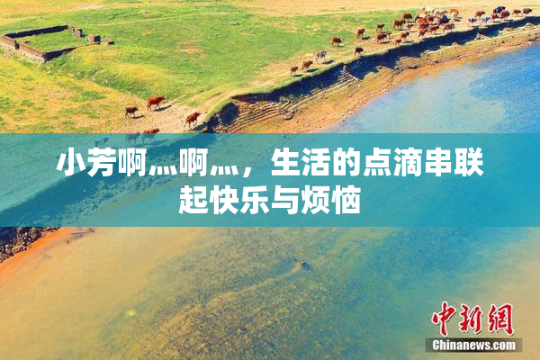 小芳啊灬啊灬，生活的点滴串联起快乐与烦恼