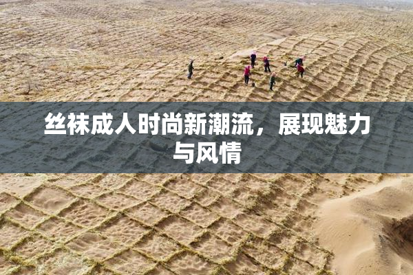丝袜成人时尚新潮流，展现魅力与风情