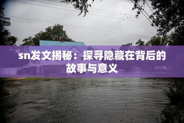sn发文揭秘：探寻隐藏在背后的故事与意义