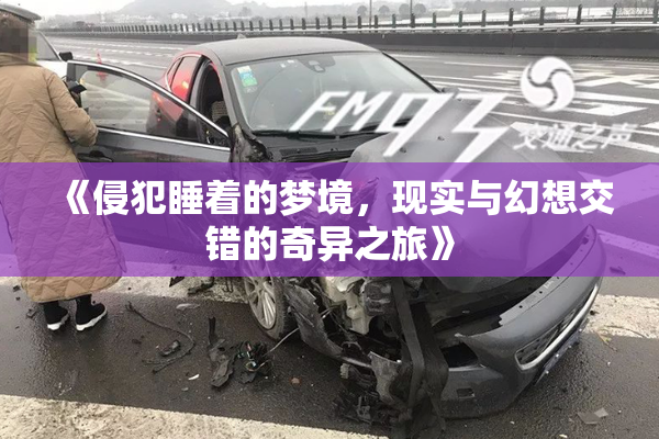 《侵犯睡着的梦境，现实与幻想交错的奇异之旅》