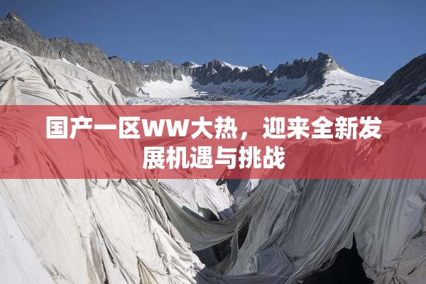 国产一区WW大热，迎来全新发展机遇与挑战