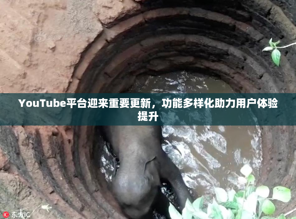 YouTube平台迎来重要更新，功能多样化助力用户体验提升