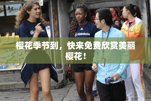 樱花季节到，快来免费欣赏美丽樱花！